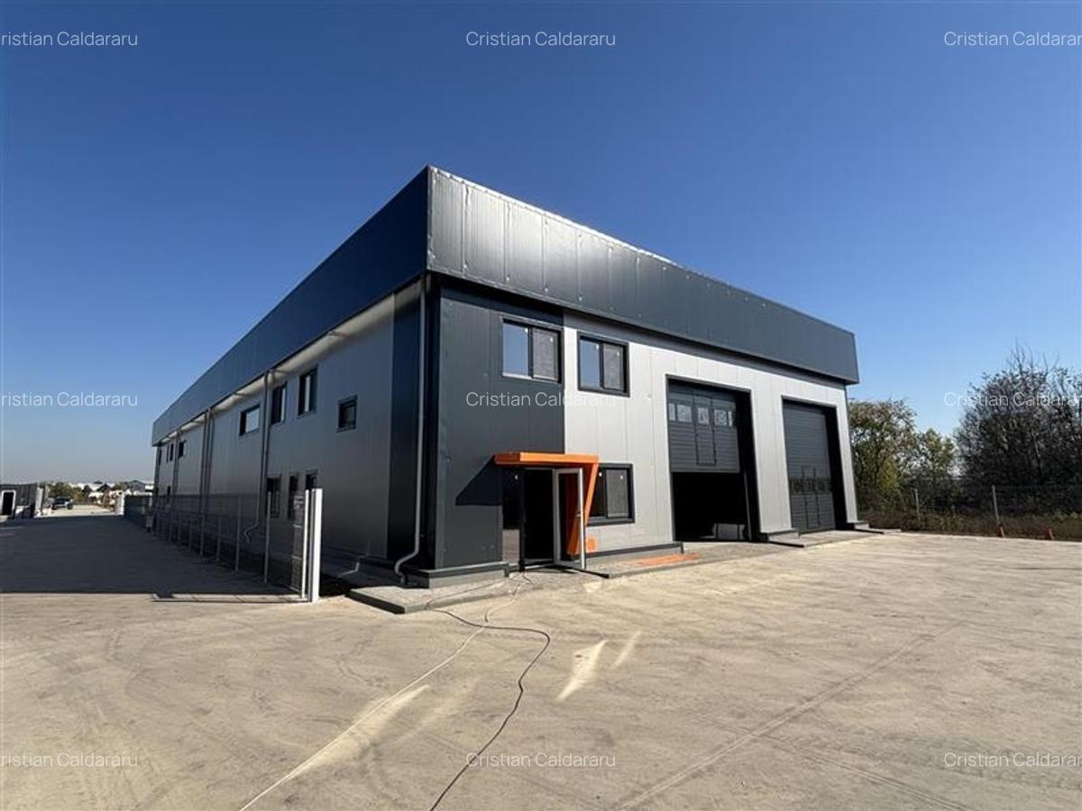 Vanzare depozit/hala/spatiu industrial Chitila - Centura - Rudeni - 3