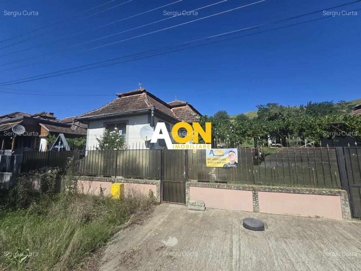 Comision 0%! Casa 3 camere Gura Ariesului, 1500mp Teren - 1