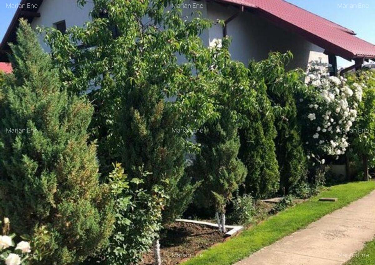 Vila - parter + mansarda - Sendreni, jud. Galati - 10