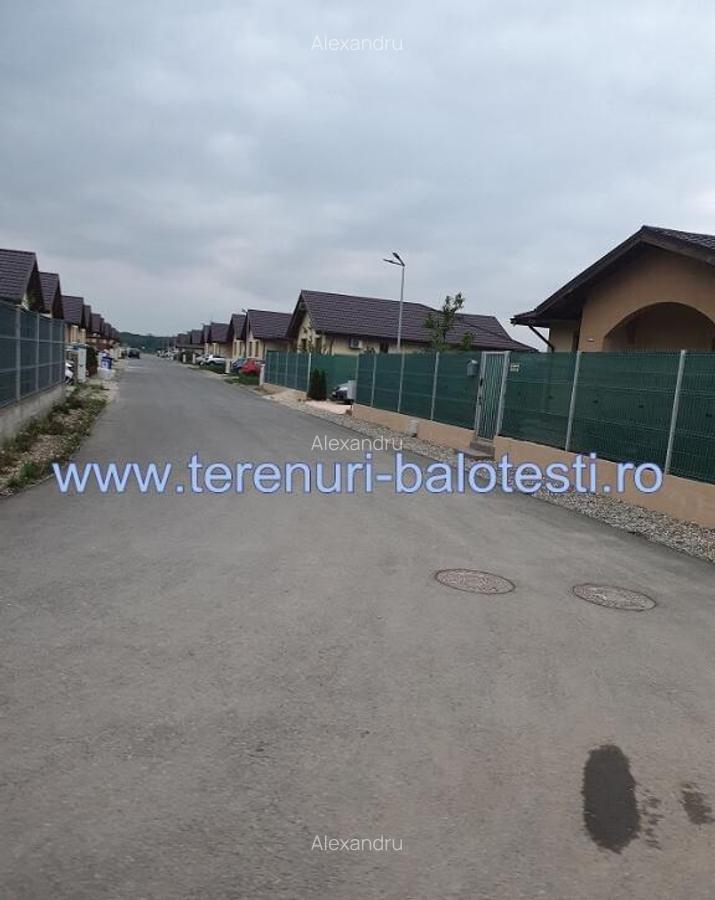 Teren Balotesti,langa case noi-50 m de asfalt 600mp - 10