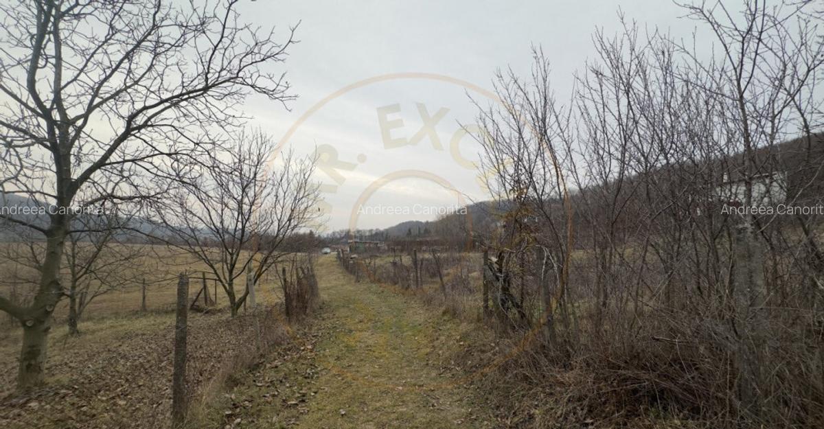 0% Comision Teren intravilan 814 MP-Stefanesti-Valea Mare Po - 4