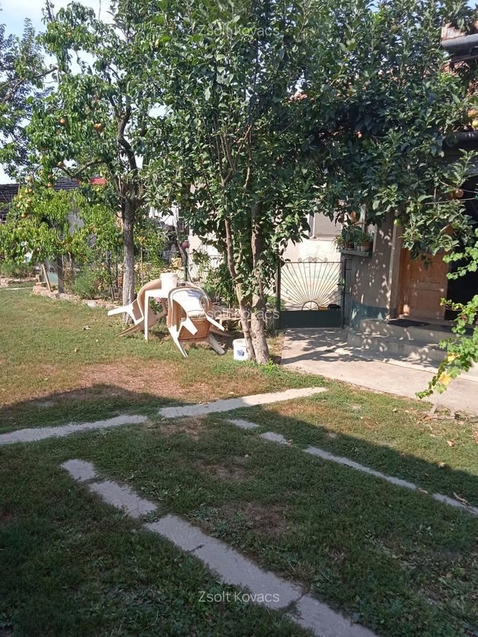 Vand casa la tara - 4 Vand casa la tara - 4