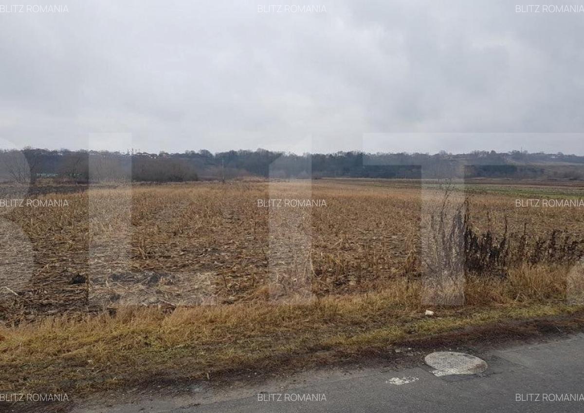 Teren extravilan, 4000 mp Jucu, zona Bosch - 2
