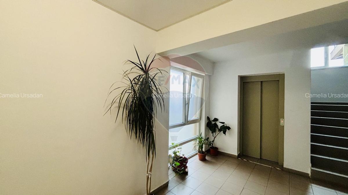 Apartament cu 3 camere de inchiriat in zona Nufarul - 13