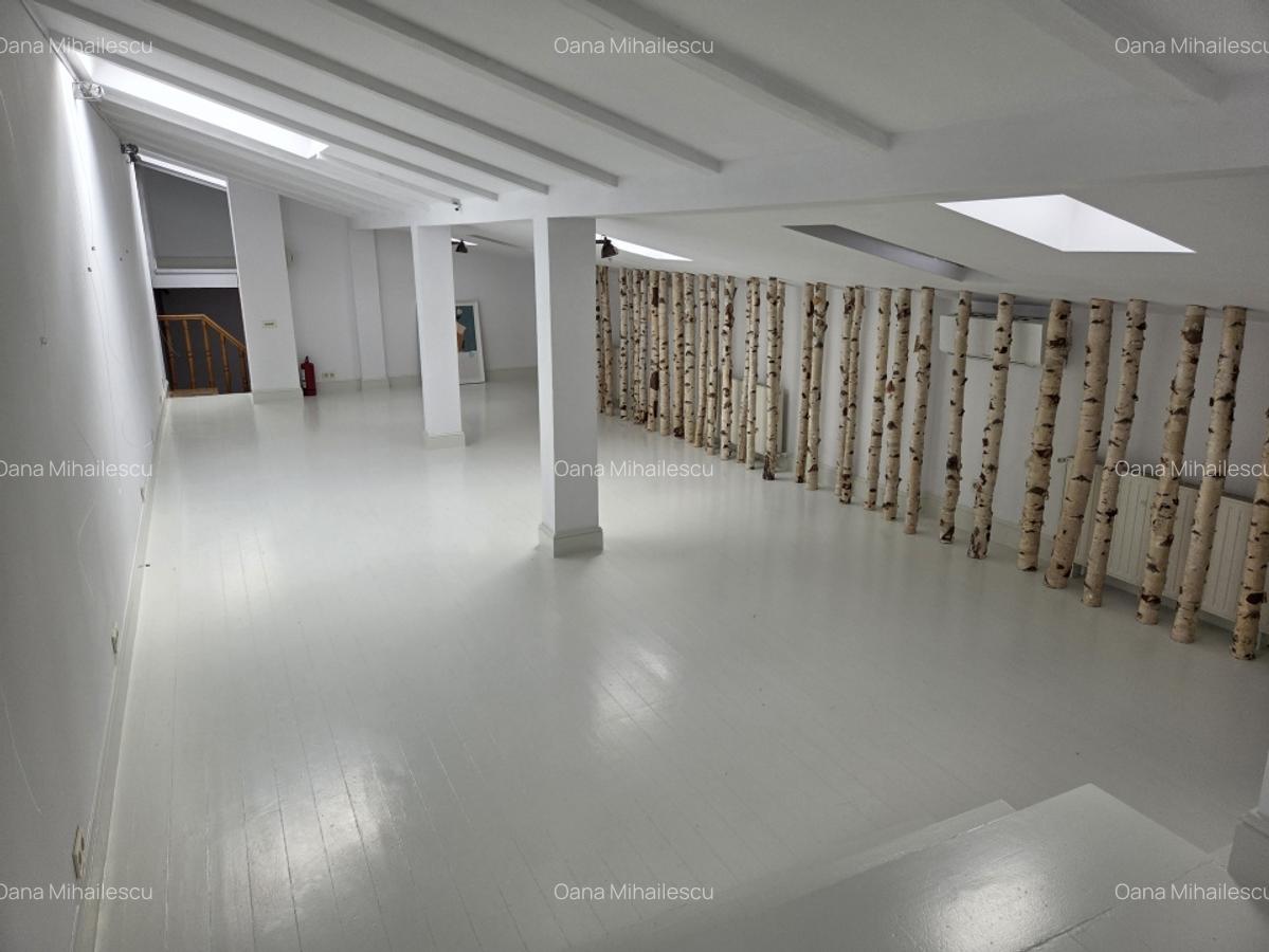 Vila interbelica de inchiriat/pretabila activitati comerciale/Victoriei - 19