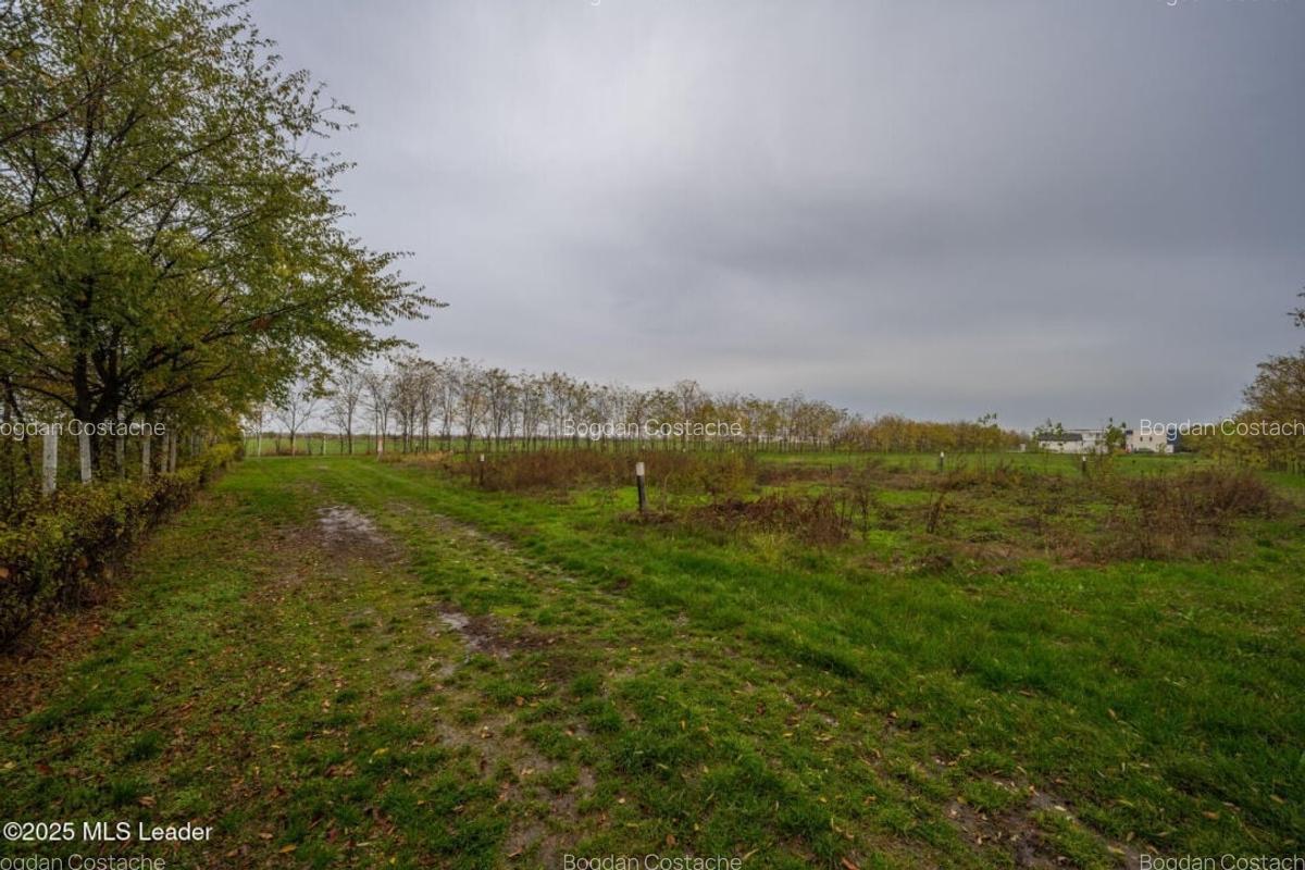 Teren intravilan de vanzare | Cartier rezidential deosebit | Afumati - 5