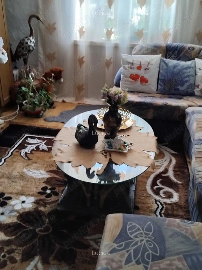 Vand Casa cu curte, 1 min de centru Anina 30000 EURO Negociabil - 6