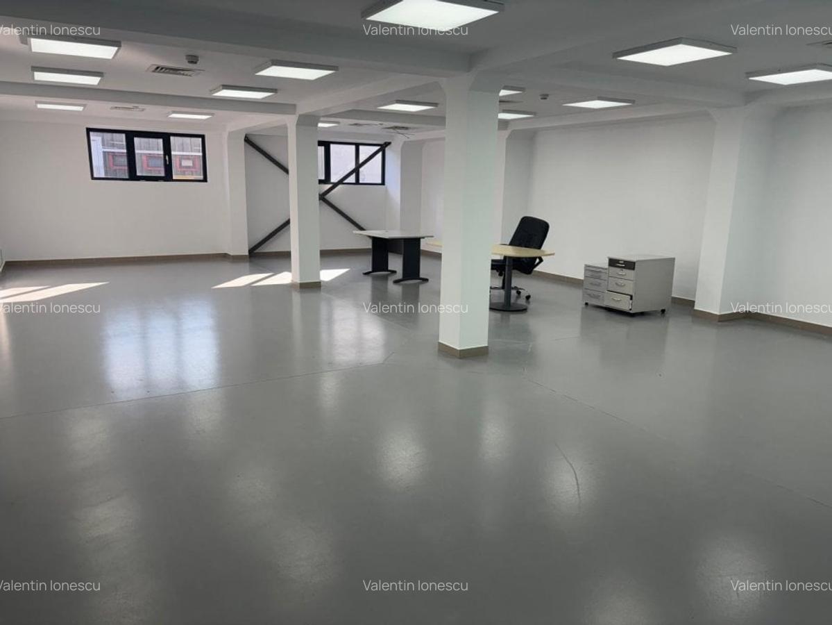 Hala Industriala Premium de inchiriat - 5