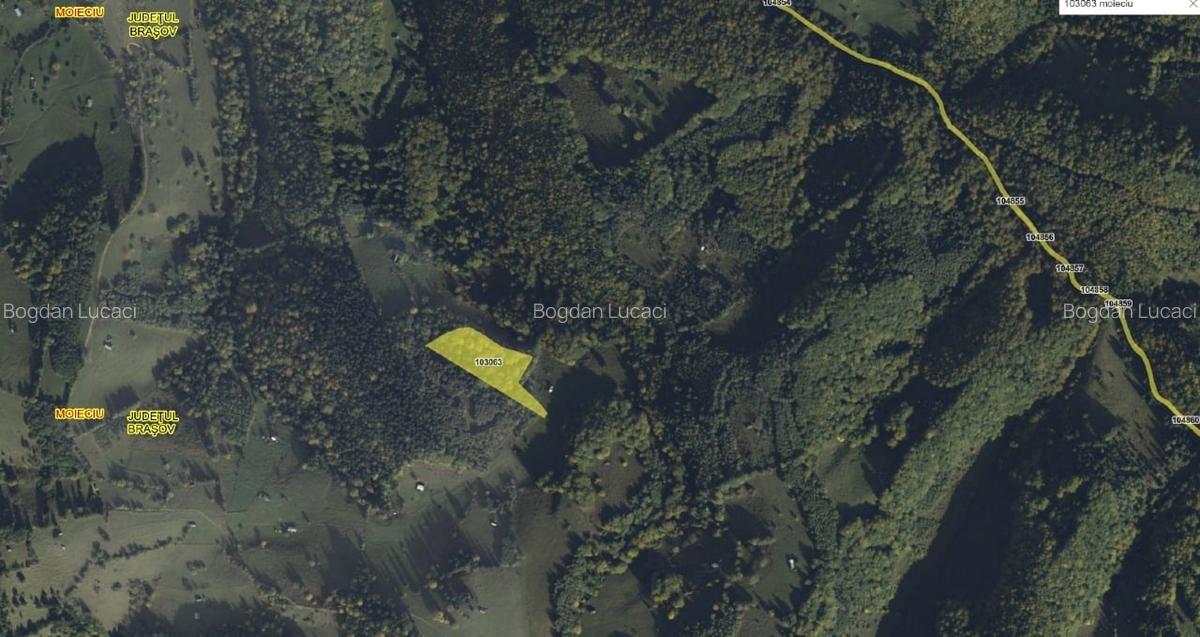 Teren extravilan de 9200 mp, în Moieciu - 4