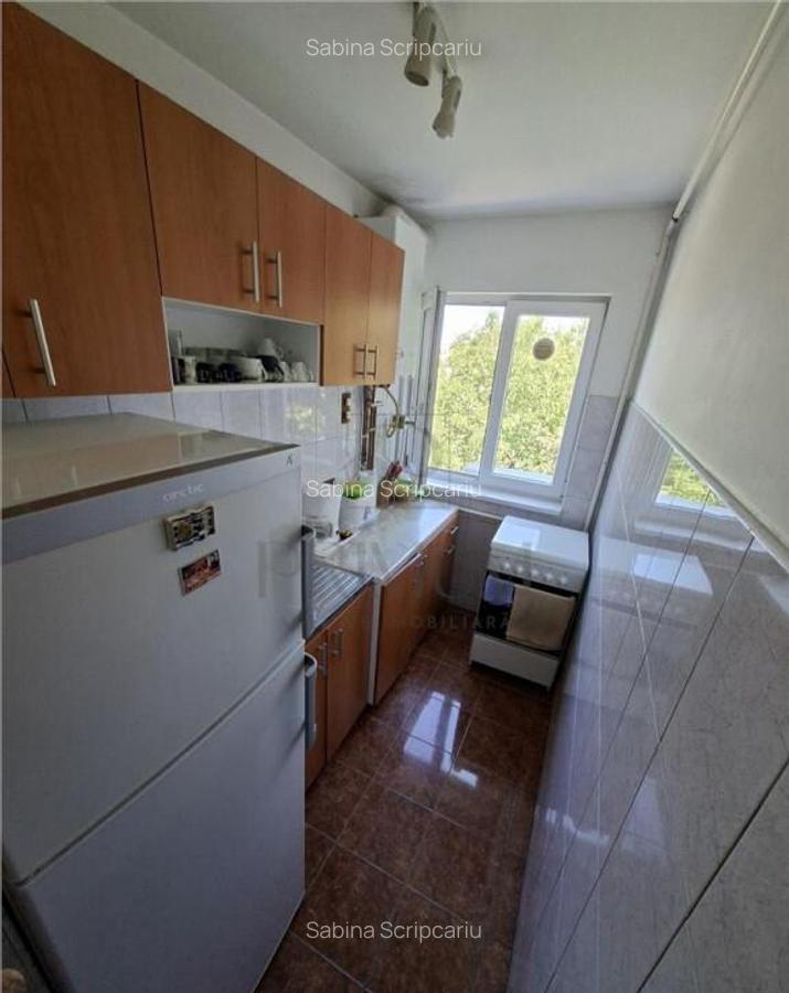 TAKE IONESCU - 4 Camere - RENOVAT - Centrala proprie - Clima - 10