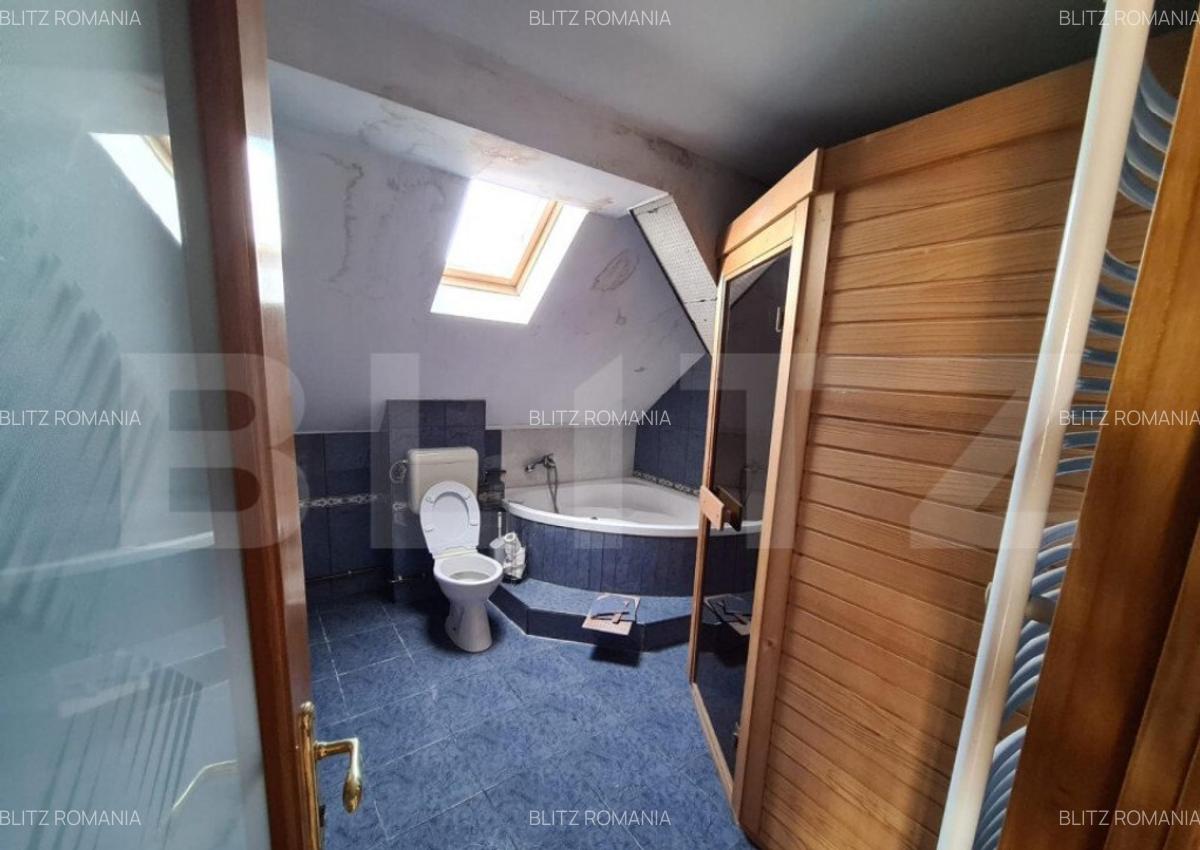 Casa, proprietate pretabila pentru sediu de firma + hala pro - 4