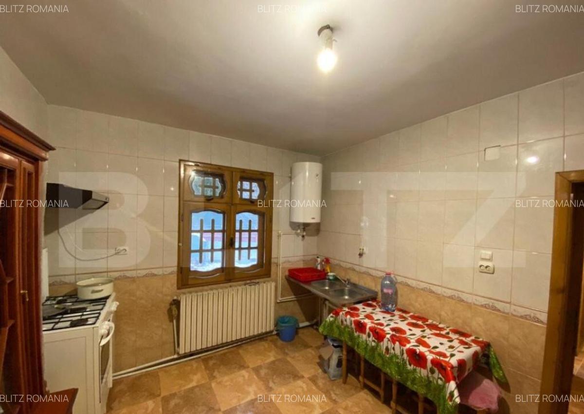 Vila cu potential de transformare in pensiune, 13 camere, Ti - 9