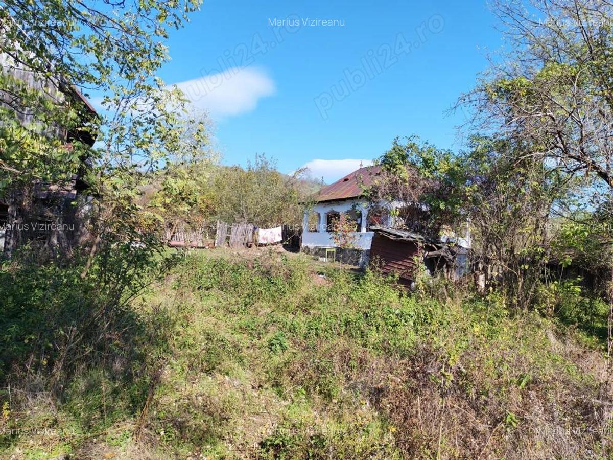 Teren 10000mp.Loc Calvini - 2