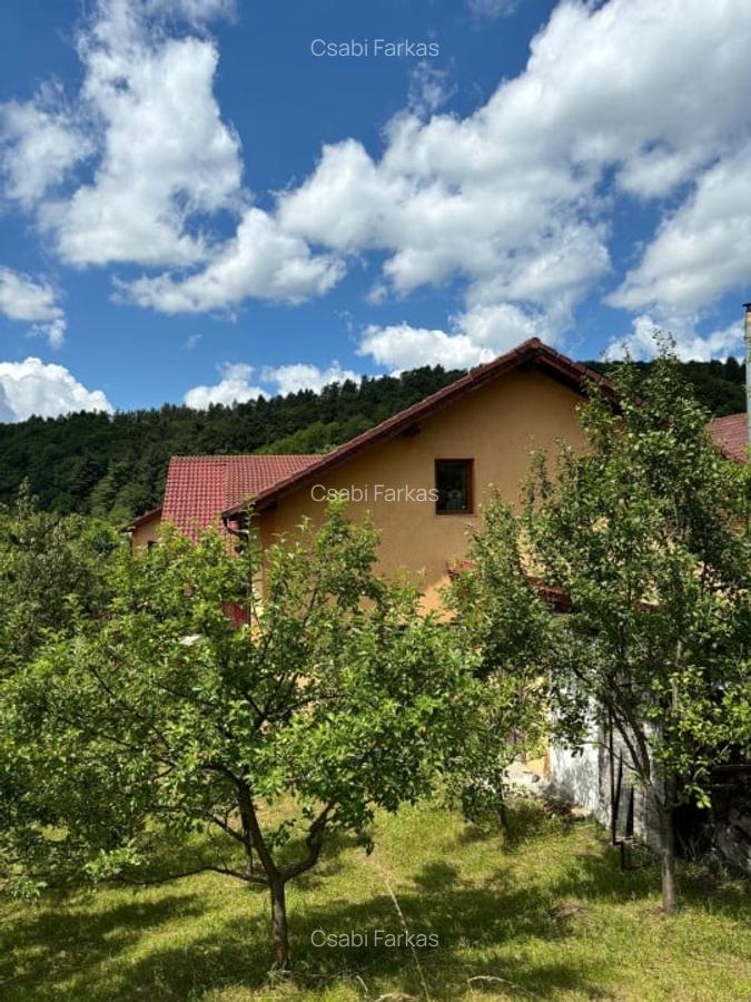Casa individuala, 240 MP, finisata, Feleac - 3