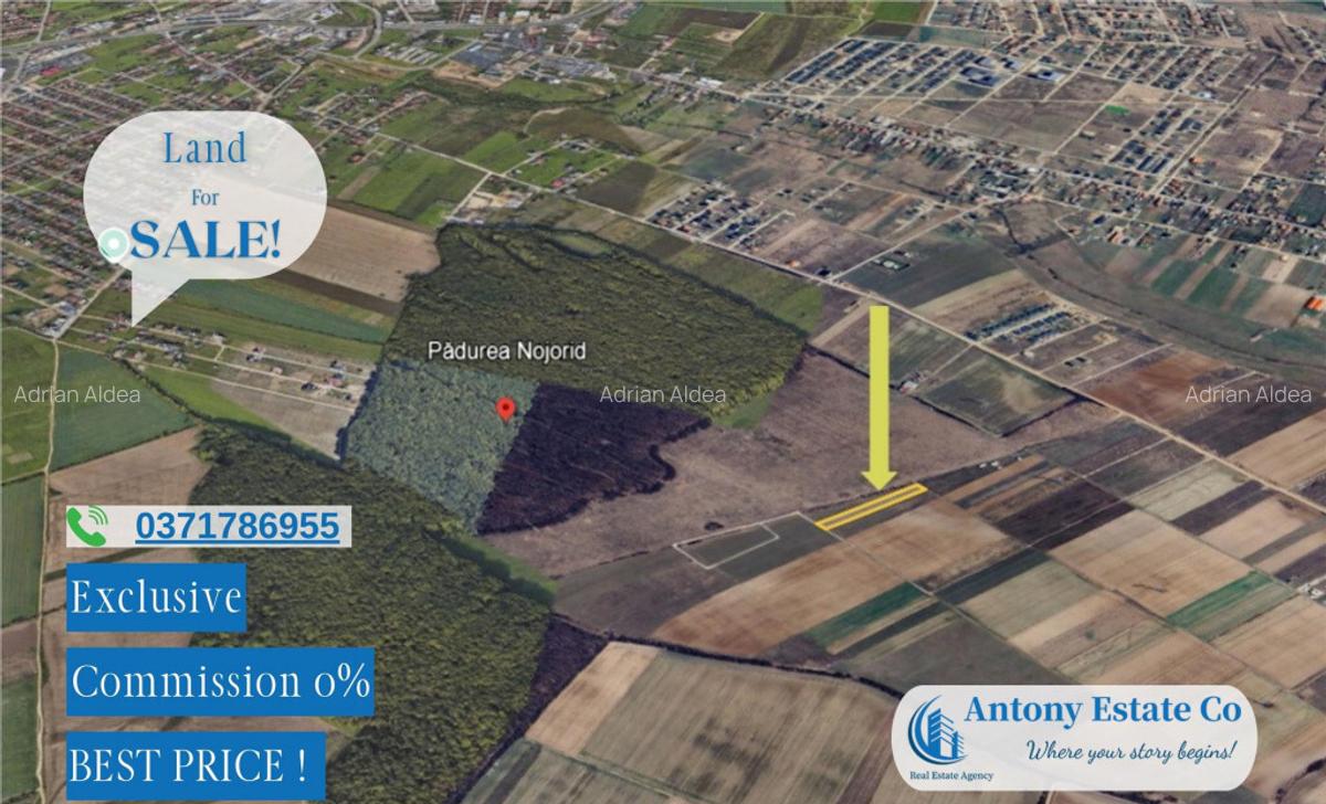 Oportunitate de investitie - Teren Cihei, langa Padurea Nojo - 1