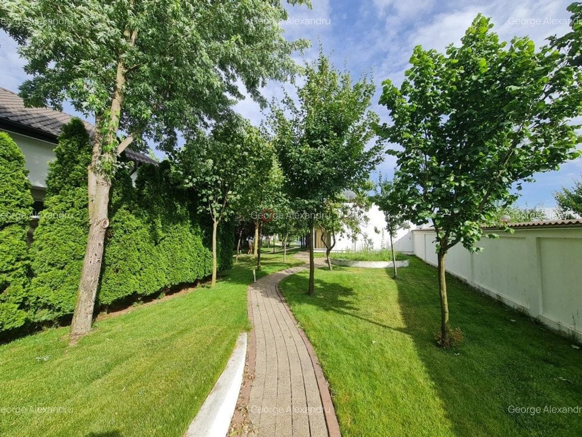 Vila Exclusivista Tartasesti - Mogosoaia - 27