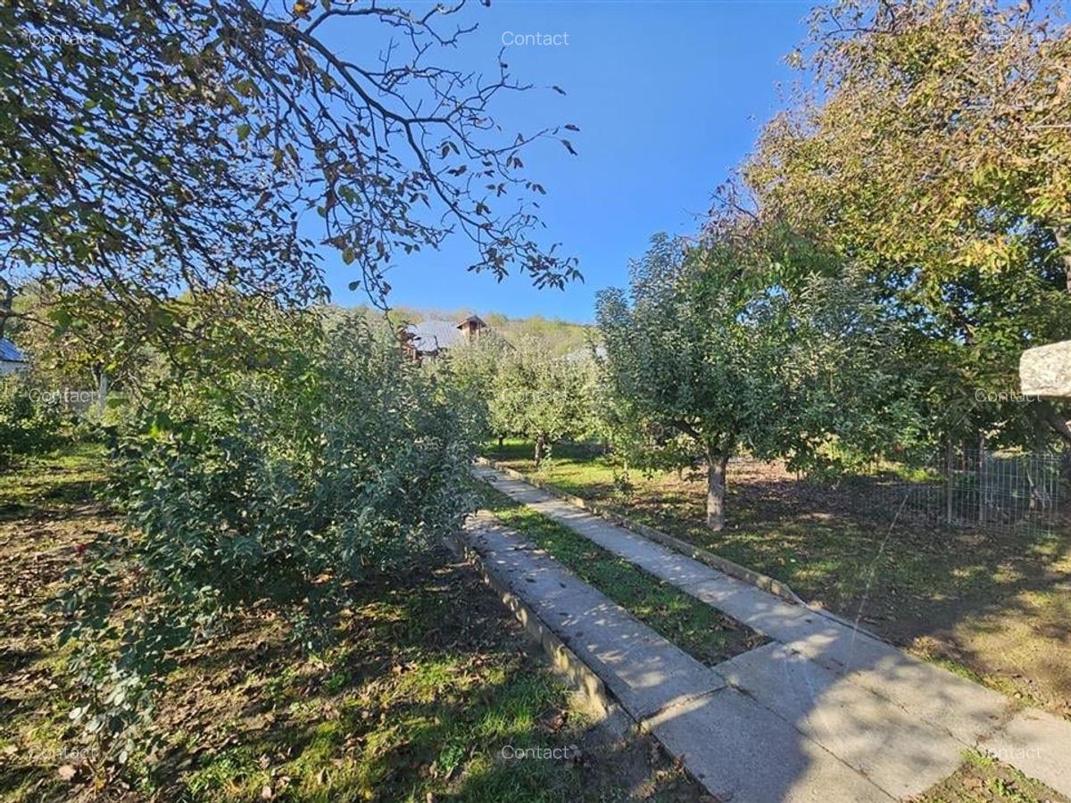CASA SI TEREN DE VANZARE BORZESTI-Onesti - 4
