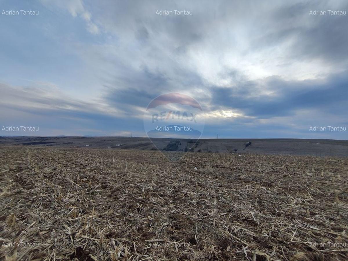 Teren intravilan de vanzare in Salicea, 3000 MP - 5