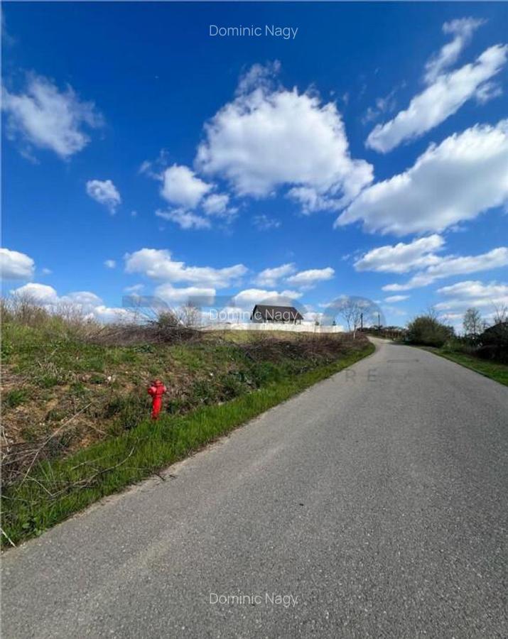 RECO teren de in zona Paleu - 3