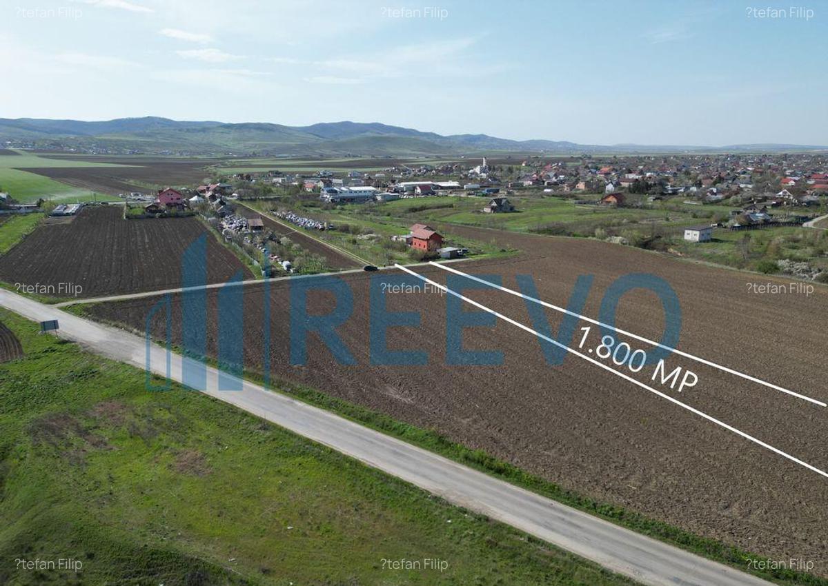 Teren de vanzare, Com. Nicolae Balcescu, Jud. Bacau - 3