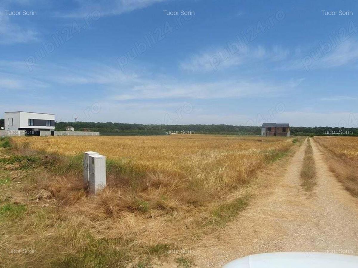 Teren situat in Balotesti,langa padure,acces drum pietruit, 28000 euro - 2