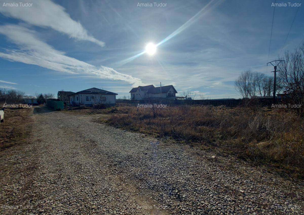 Loc de casa cu utilita?i, 944mp, 29m deschidere, Cioflice - 4