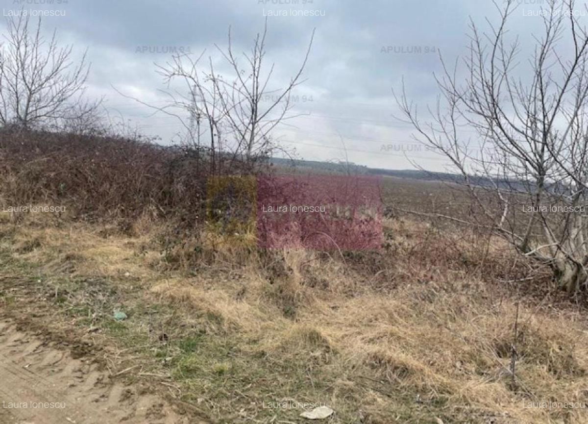 Teren Splaiul Unirii- Confort City. - 3