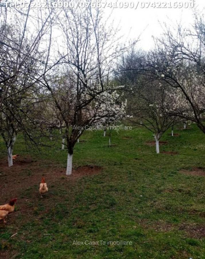 Casa in Motru, Com Slivilesti, Sat Miculesti - 12