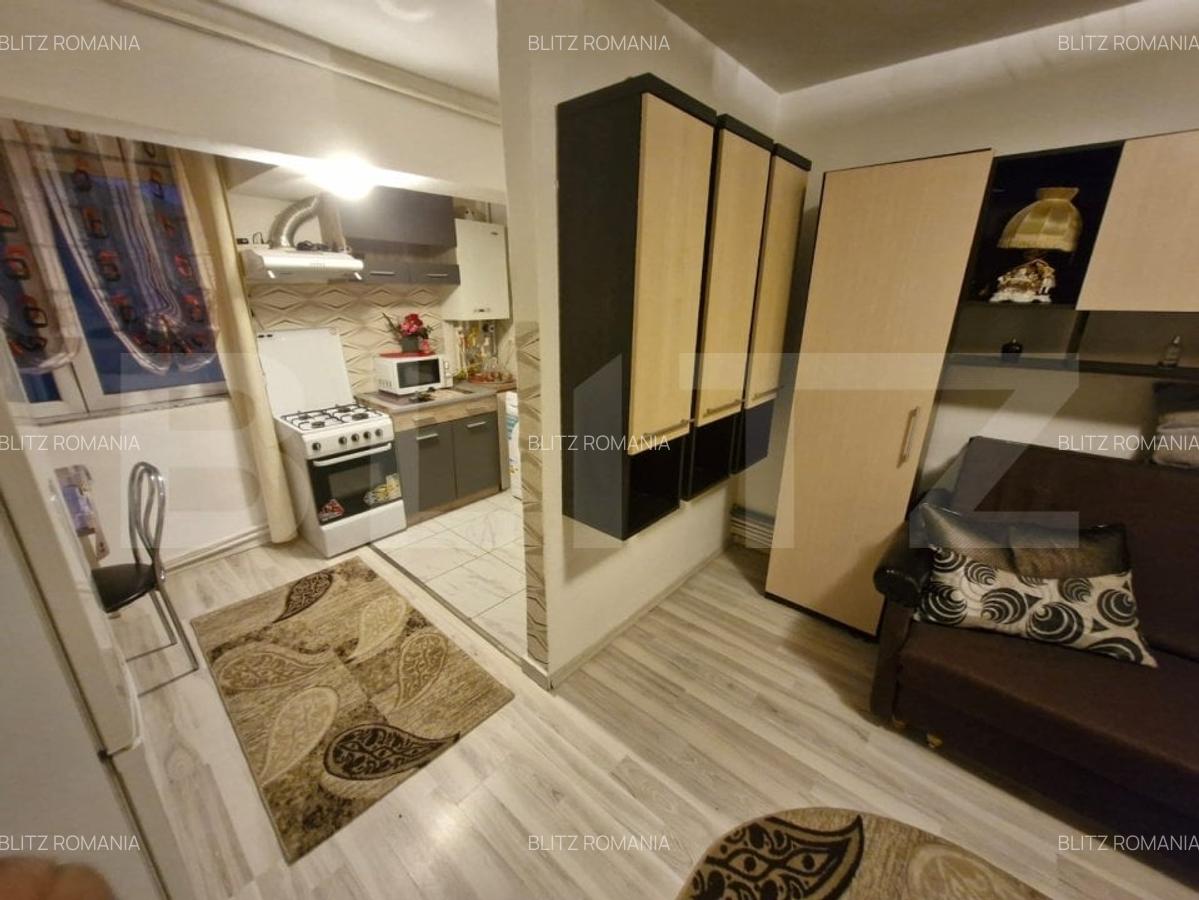 Garsoniera de vanzare, Dragos Voda - 2