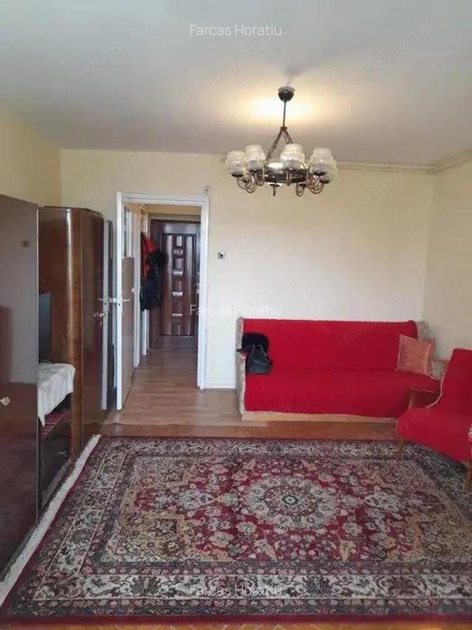 Aleea Carpati - Inchiriere apartament 1 camera - 2