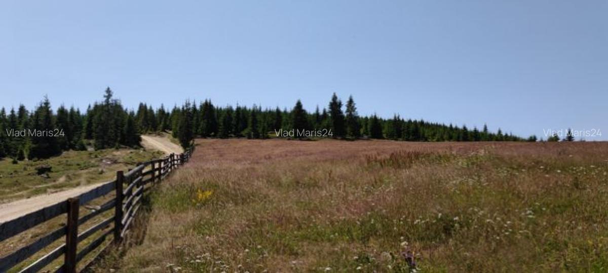 Vand Teren in Maguri, comuna Maguri-Racatau - 3