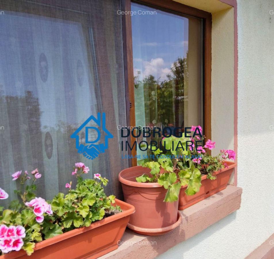 SOMOVA- CASA 5 CAMERE ,SUPRAFATA 175 MP, TEREN 863 MP - 12