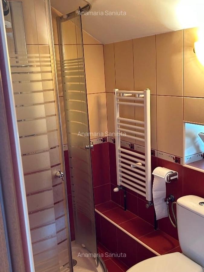 Proprietate specială, 280 mp în Dumbrăvița - 13