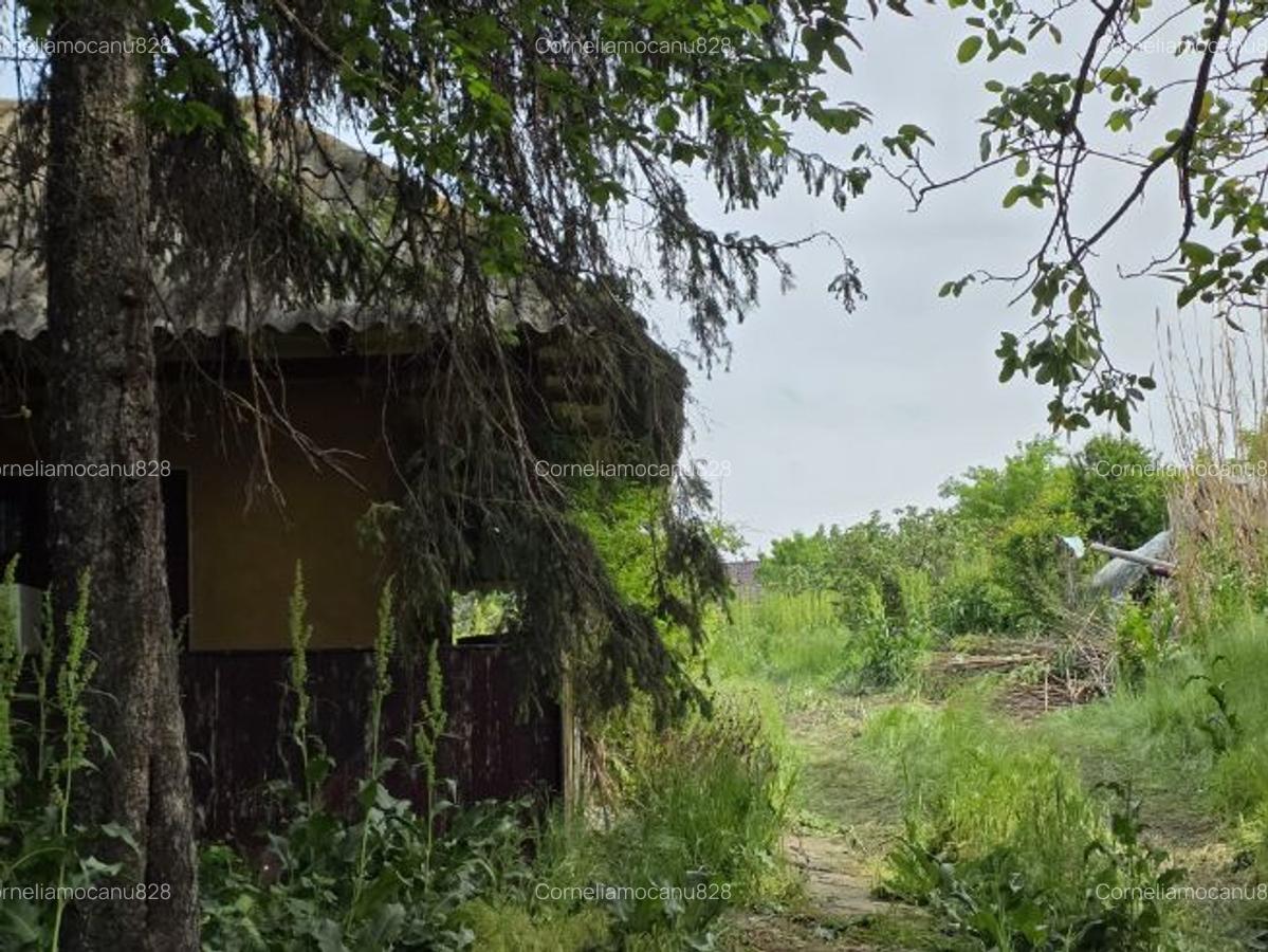 Casa bătrânească pe Malul Garlei Moara Vlasiei 2 - 3
