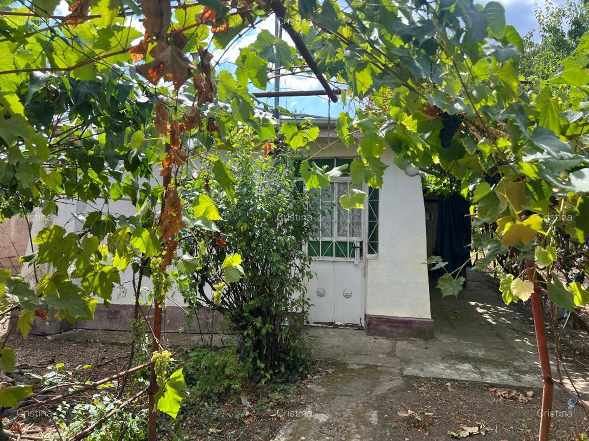 Casa de vânzare - 8