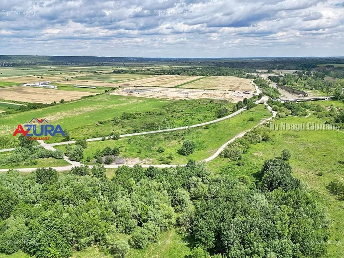 AZURA Imobiliare - Teren Topoloveni Bamesa Autostrada - 6