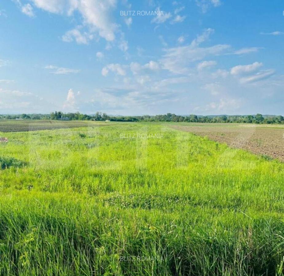 Teren 5500mp extravilan,Sat Dimoiu - 1