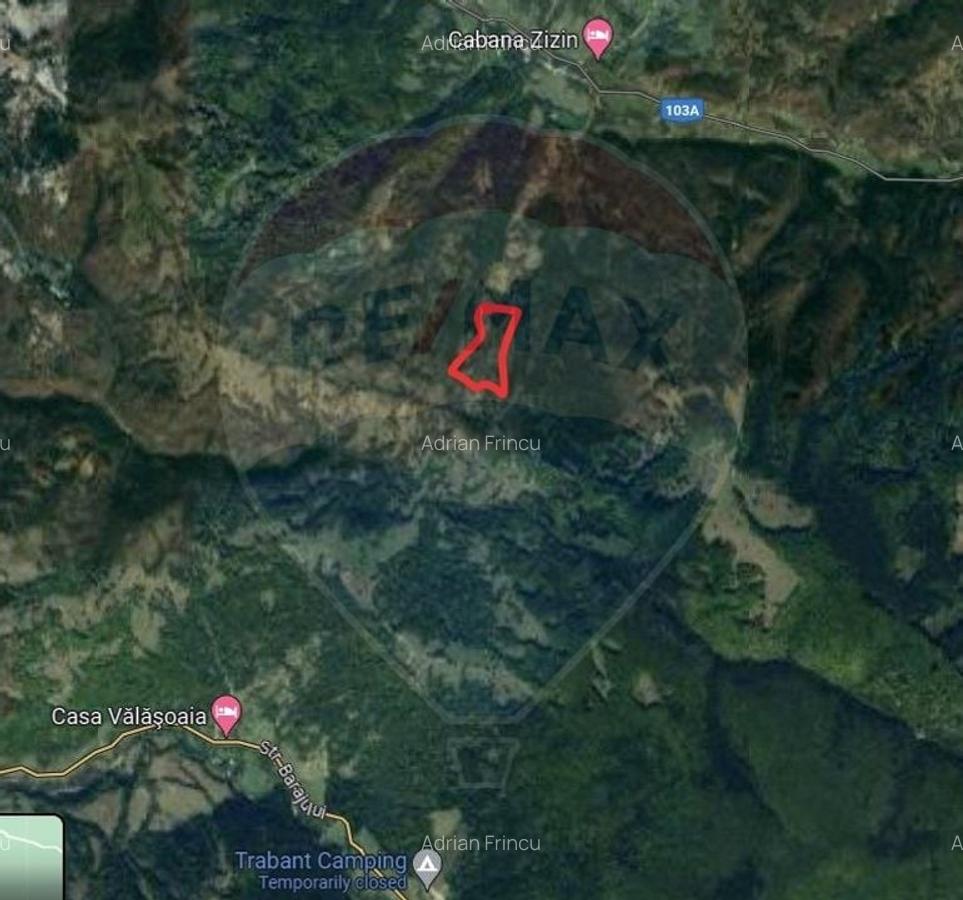 Teren extravilan de 14600 mp, în Tărlungeni - 6
