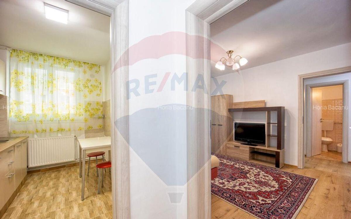 Apartament cu 2 camere de vanzare in zona Triaj - 8