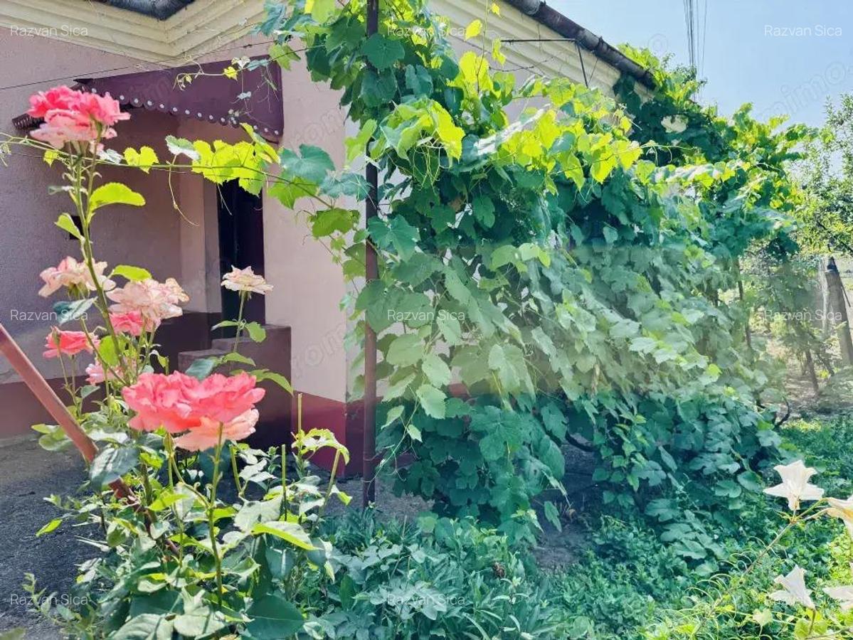 Casa 3 Camere - loc. Ciacova - 0% Comision - 14