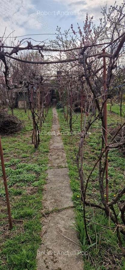 Vand casa 4 camere - 3