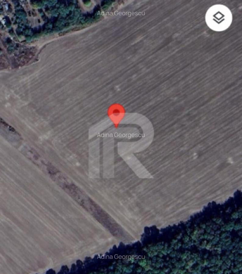 Com GRUIU_Reprezentare exclusiva_TEREN EXTRAVILAN LANGA PAD - 4