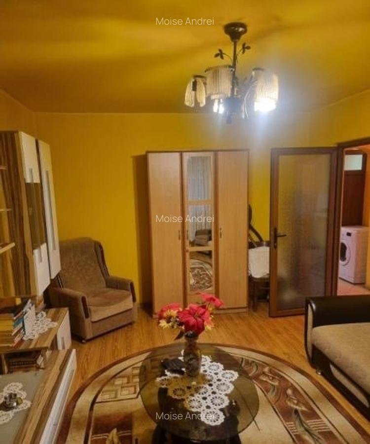Apartament 2 camere parter plus balcon bloc de 4 etaje reabilitat - 2