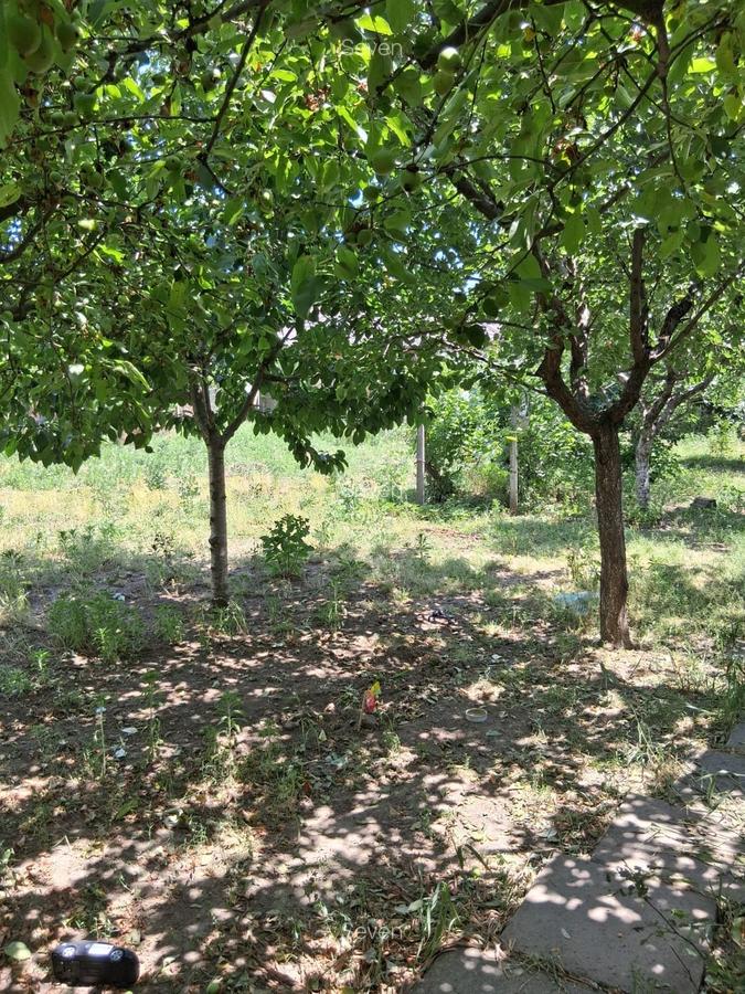 Casa 4 camere - Murfatlar - 135.000 euro(Cod E7+E11) - 9