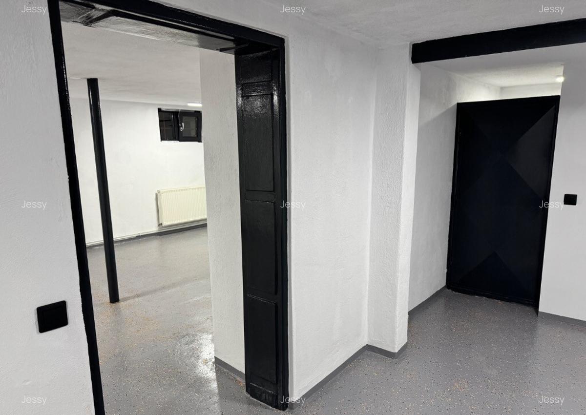 Spa?iu comercial 65mp de inchiriat str. Baba Novac - 5