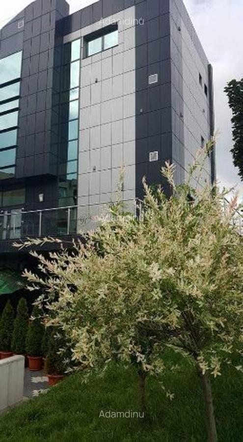 Vand imobil format din parter si penthouse (parter+etajul 3)Cina -Rm Valcea - 3