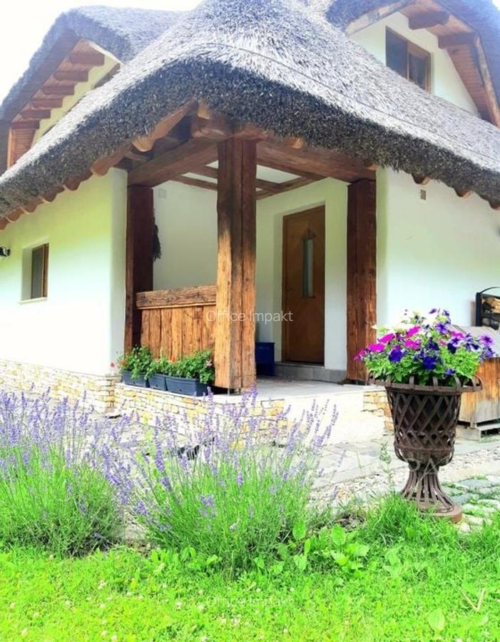Casa traditionala de vis, aproape de Cluj-Napoca - 21