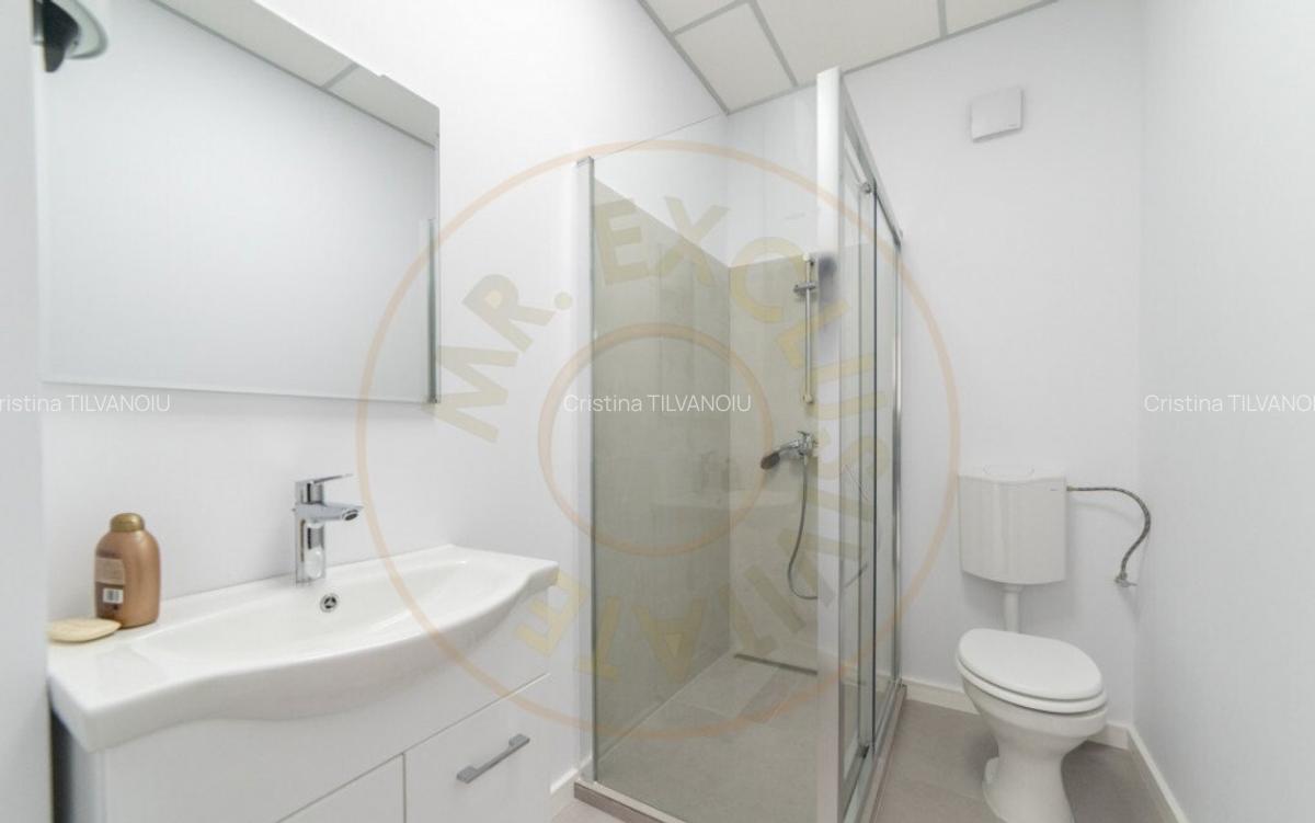 Spa?iu comercial de inchiriat 103 mp Craiovei - am - 8