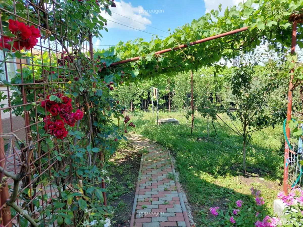 Vand casa in Valea Larga - 2