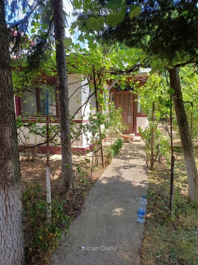 Casa batraneasca de vanzare in Chitila –  aproape de Bucuresti - 1